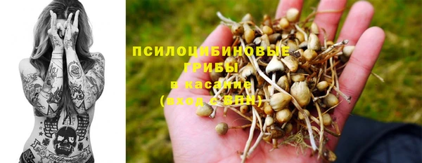 прущая мука Армянск