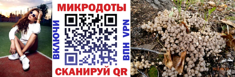 Купить закладки  Изобильный  Псилоцибиновые грибы Magic Shrooms 